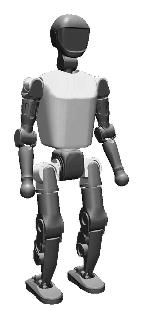 T1
